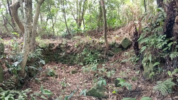 平溪區上天福安宮-粗坑頭崙-五分山西峰-五分山步道去回3088406