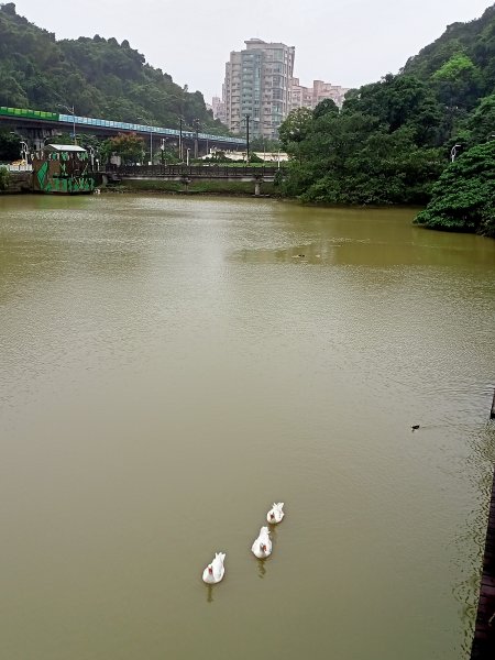 大湖公園 (防災公園)【走路趣尋寶】1897926