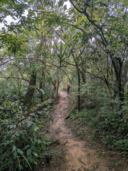 2025-06-08 臺北大縱走第六、七段2814197