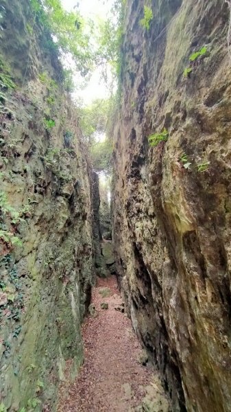 北柴山秘境之旅2754393