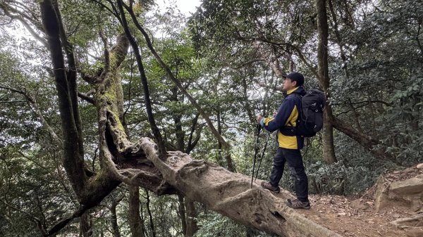 20250101內鳥嘴山北得拉曼步道2681557