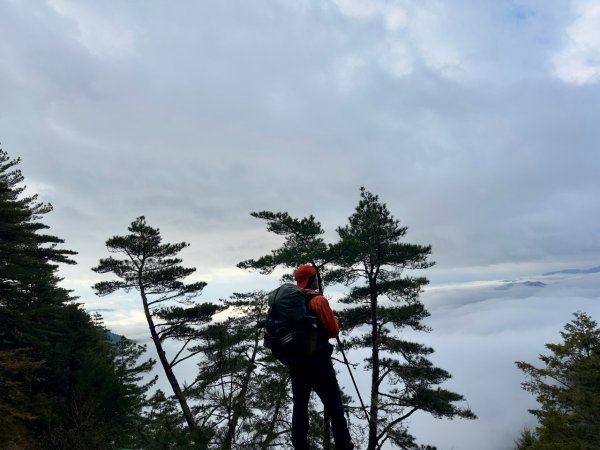 20250319～20嘉明湖國家步道🥶🥶🥶殘念😭2739785