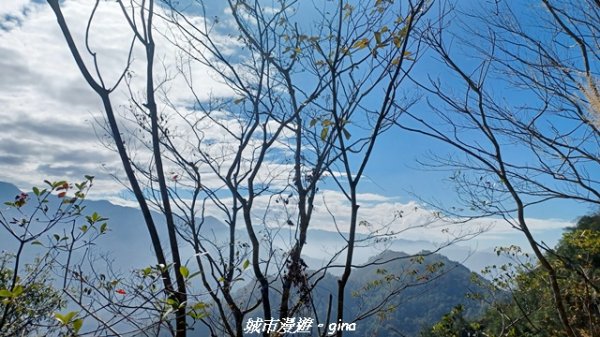 【南投魚池】後尖山步道2968307