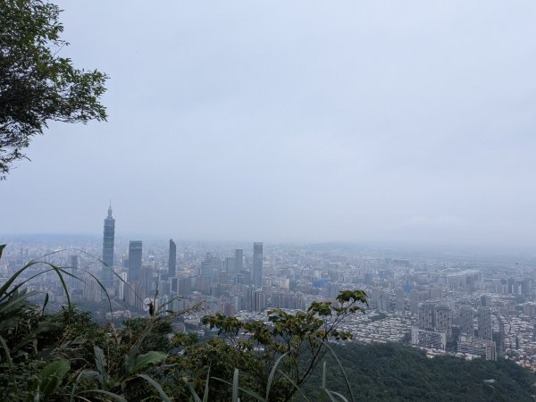 2025-06-08 臺北大縱走第六、七段2814181