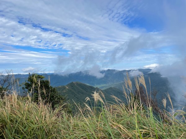 112.12.30 宜蘭 抹茶山 聖母登山步道、三角崙山攻頂2423480