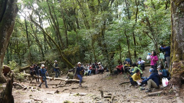 馬武佐野郡山登山健行趣(中級山)1508877