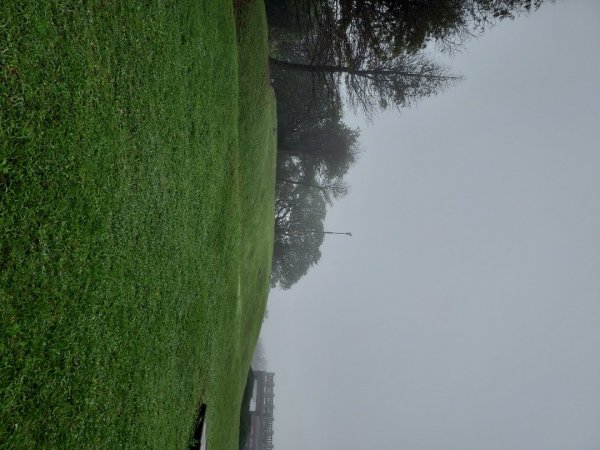 小油坑～七星山～冷水坑～擎天崗1940754