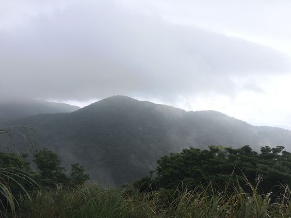 面天山 向天山401119