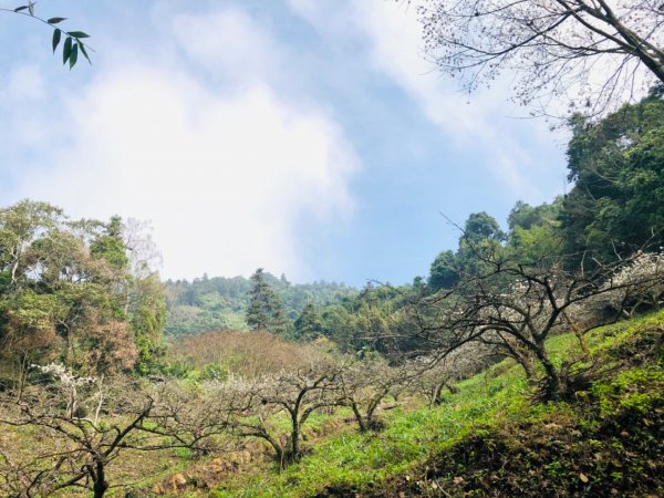 1090104馬那邦山813500