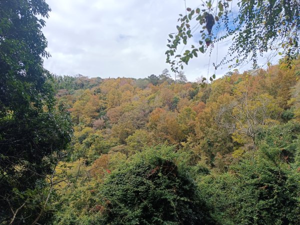 霞喀囉步道(全程)2972343