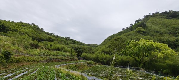 2025/04/13_大窩文史生態區步道2760243