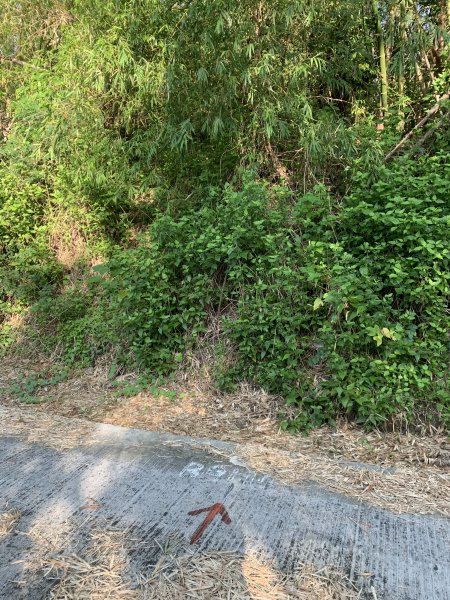 20250830高雄東崗山2877028