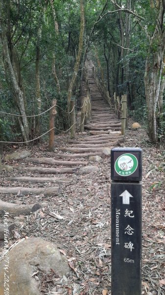 《台中》黑松山雞｜大坑5-1號上5號步道下202310292330724