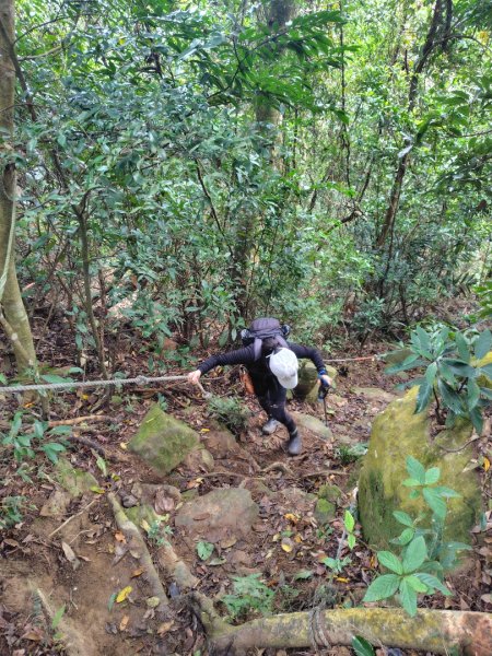 鳳鳴古道 鳳鳴山 南隘勇（南長城）古道 三湖山 八達嶺（龍骨）古道 綠色古道 延平古道2975305