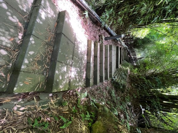 二訪硬漢嶺1745783