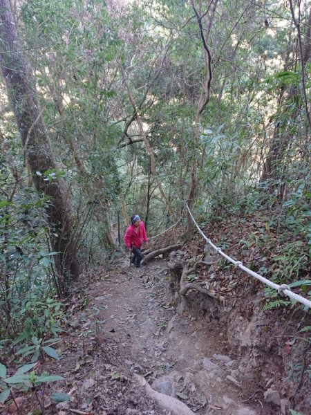 谷關七雄之七～唐麻丹山1283329