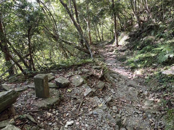 [玉山尋寶任務-03/12] 2025_0810 瓦拉米步道2857472