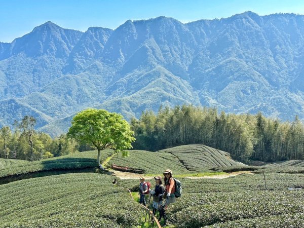 溪頭六連峰O繞2741765