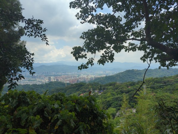 2025.08.30－微笑山線：【大棟山系】2874473