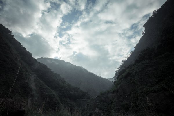 【高雄桃源】十、十三坑野溪溫泉1210386