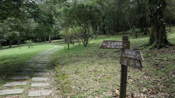 福山植物園登山健行趣(步道)2269386