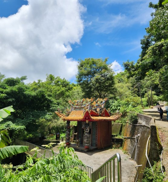 【中級山縱走】雲嘉八連峰（後棟仔山，大尖山，二尖山，馬鞍山，梨子腳山，太平山，大巃頂山及其西北峰）2821115