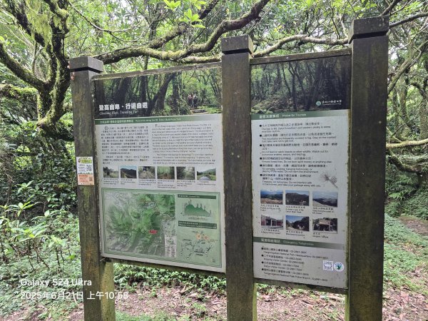 2025-06-21臺北大縱走第二段：二子坪至小油坑2821065