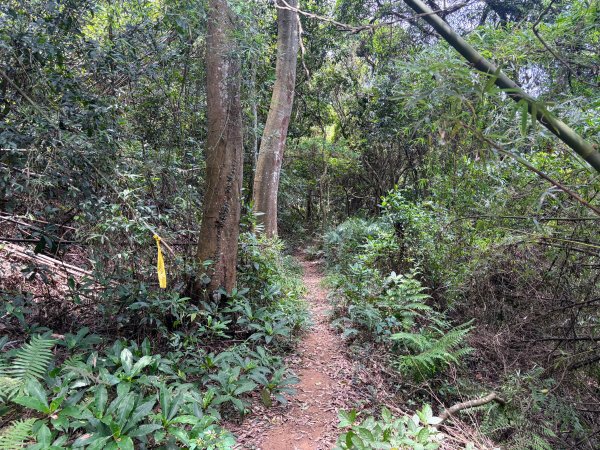 三段崎古道2835516