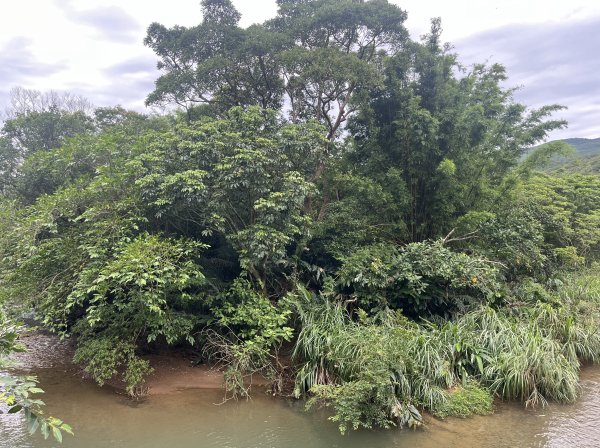 [跟著2025雙北世壯運探索雙北市-5/21] 2025_0614 浪花救援徑（福隆海水浴場－舊草嶺2813223