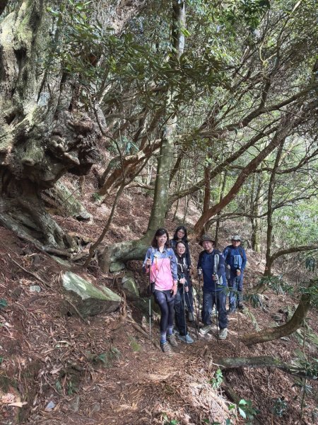 鳶嘴稍來步道賞楓季 ，大雪山門票優惠到12/31！2969544