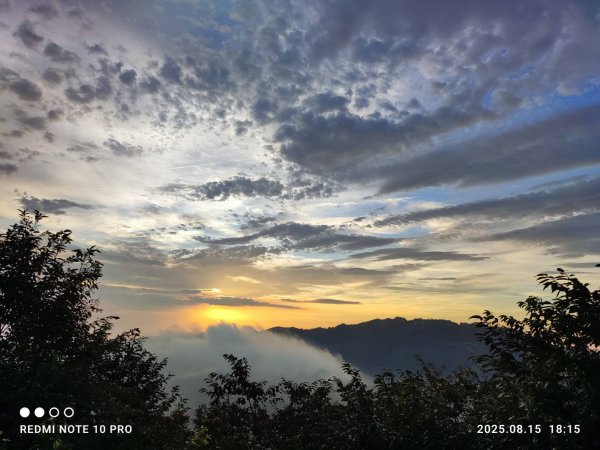 【油羅山/露營】 仙境舒活健走，雲端徜徉野趣！2887893