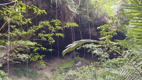 (姨婆趴趴走)第二集:桃園金牌縱走，攀登金平山、金平山南峰、牌子山，順道造訪三民蝙蝠洞2105047