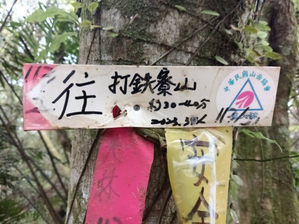 雙溪區打鐵寮山-鶯子嶺-坪溪山-烏山63號-烏山越嶺古道(坪溪山北峰)P字走3023719