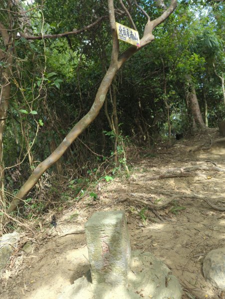 2024.12.21－旗尾山步道2677411