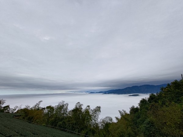 雲嘉大尖山2701282