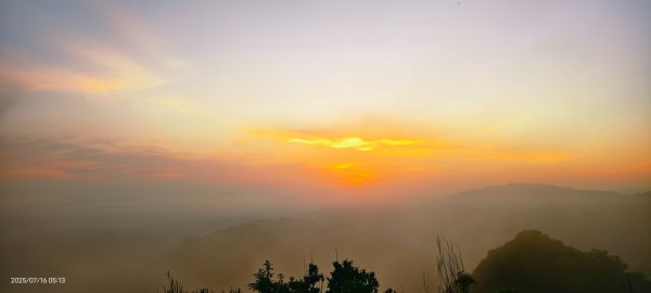 雲山水花鳥蝶-天龍國阿伯的日常 7/162838391