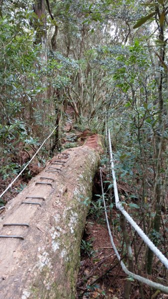 2020.03.08塔曼山872679