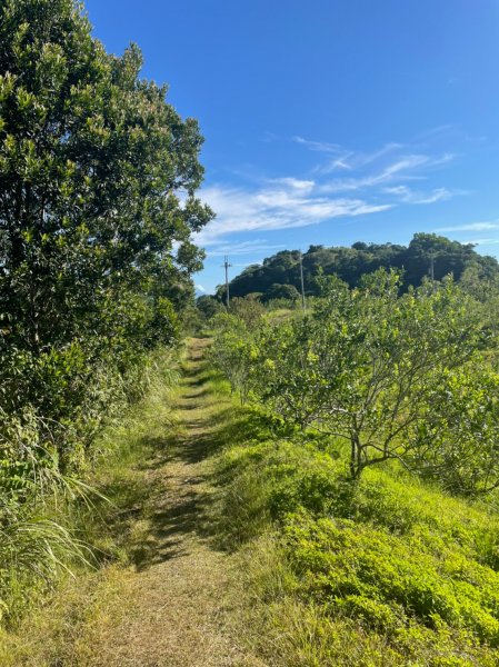 220806-小百岳#090月眉山。美美兔包場。1834512