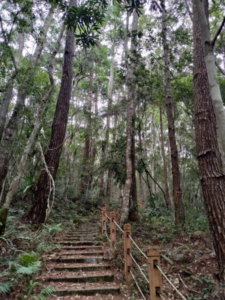 【新竹縣尖石鄉】秀巒軍艦岩步道2833655