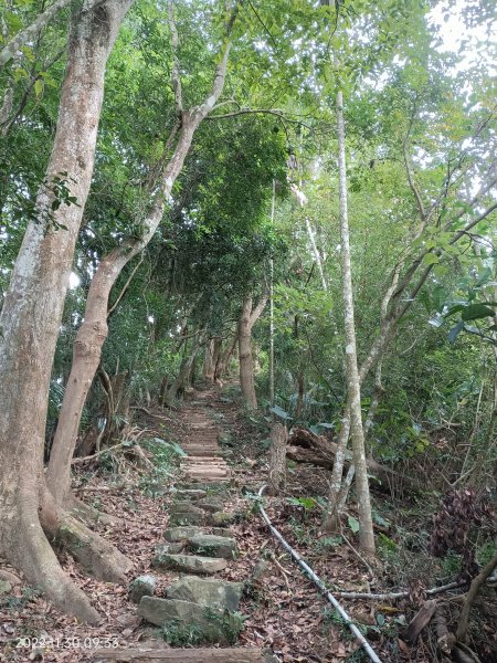 2022 11 30 出關古道：出雲段(出磺坑至法雲寺)1934365