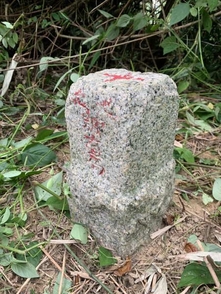 20250906台南蚵殼坑山-九層嶺-三十六崙山-洋子寮山2881498