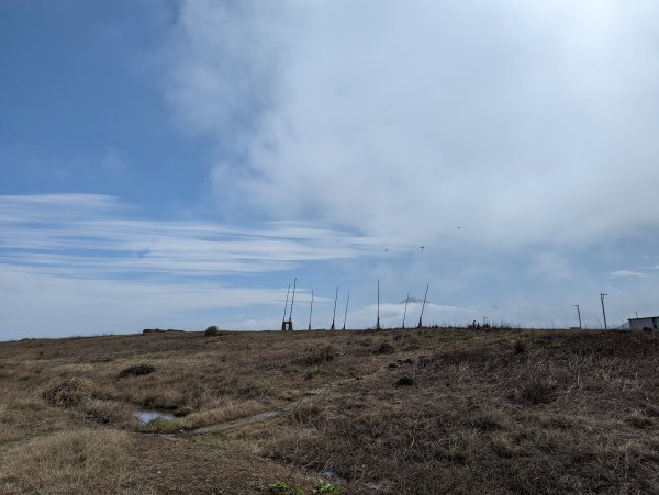 2023-02-11 八斗子潮境公園、環保復育公園步道2792566