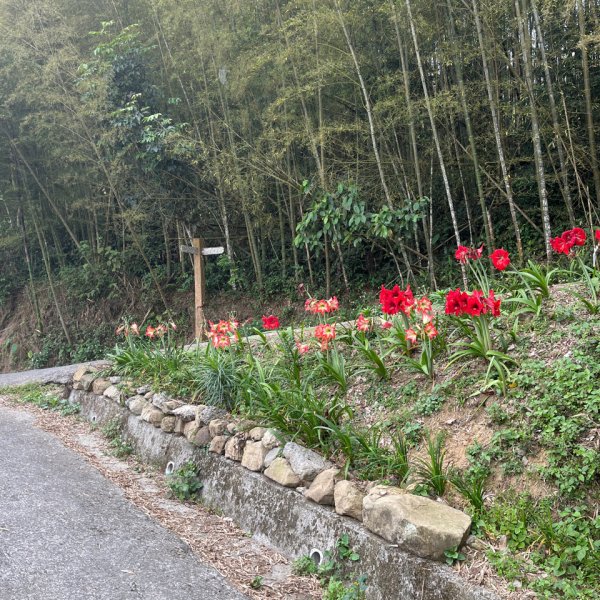 2023_0429_挑筍古道2138247