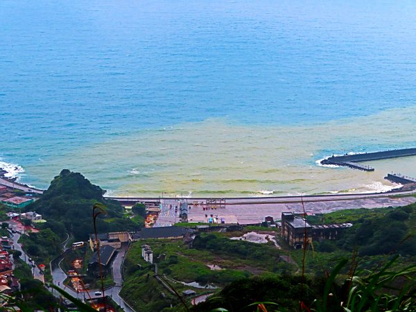 雨天獨有的浪漫步道：登茶壺山 賞海天一色544697