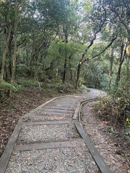 20251004_碧山露營場＿長壽坡＿大崙尾山步道2904724