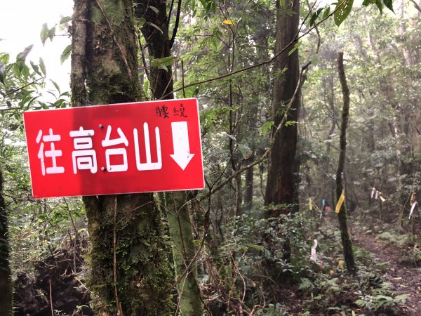 一魚多吃的高島縱走  帶孩子享受攀爬的452384