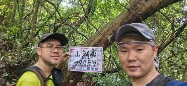 20260417白石下山-金山西峰-蕩跋山-劉家界山-老社寮山-新富山O行3041748