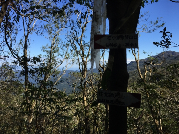 北插天山 - 北部山毛櫸與雲瀑的故鄉81421