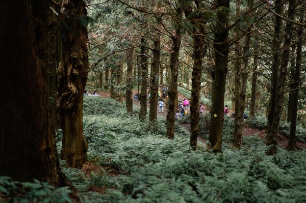 帶媽媽爬長壽山2669501