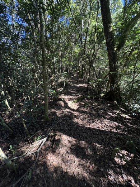 20251116鳴海山、網子山登山步道2938410